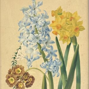 Franz Xaver PETTER (1791-1866)